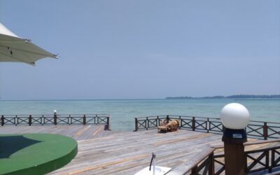 Jangan Lewatkan Alasan Penting Mengapa Anda Perlu Liburan ke Pulau Royal