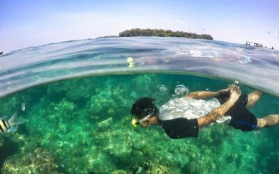 Jangan Lewatkan Spot Snorkeling Cantik di Kepulauan Seribu