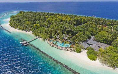 Dijamin Betah! Staycation Menenangkan di Cottage Modern Pulau Royal