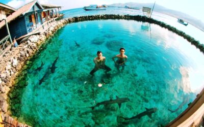 Hal Menarik yang Bisa Didapatkan Saat Berlibur di Pulau Pramuka
