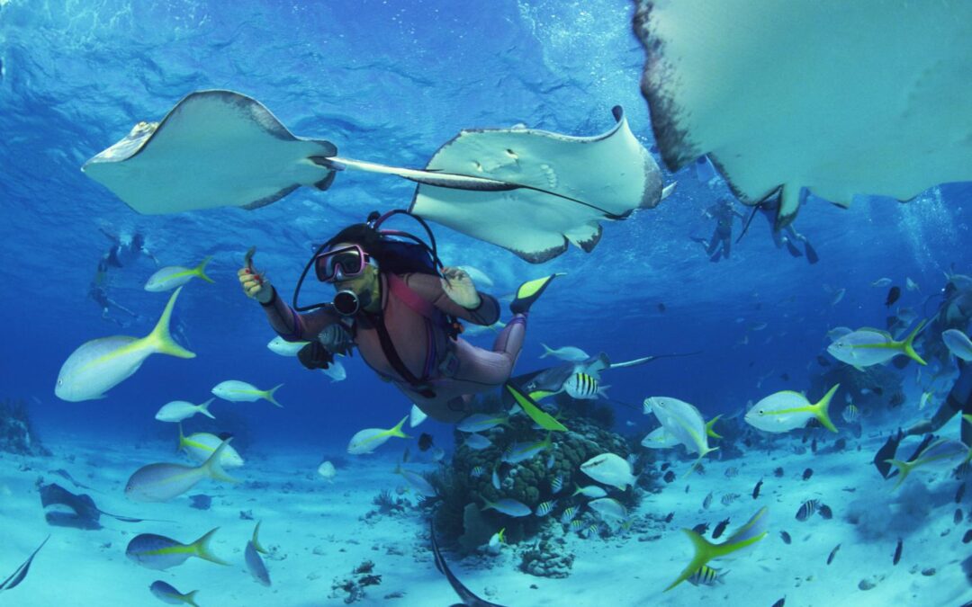 Menikmati Indahnya Pantai dan Bawah Laut di Pulau Seribu