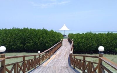 Rekomendasi Liburan Bernuansa Privat dengan Resort Modern di Pulau Royal