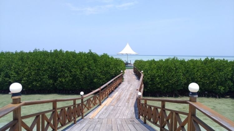 Rekomendasi Liburan Bernuansa Privat dengan Resort Modern di Pulau Royal