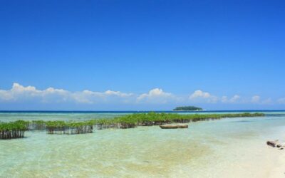 Keunggulan Pulau Pramuka Sebagai Tempat Liburan yang Nyaman