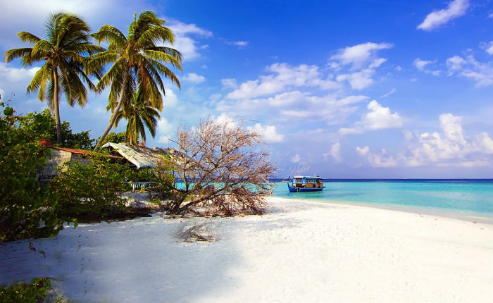 Liburan Eksklusif di Pulau Macan yang Eksotis
