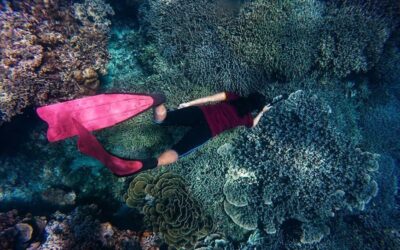 3 Kegiatan Menarik yang Bisa Dilakukan di Pulau Pari Destinasi Wisata Paling Seru