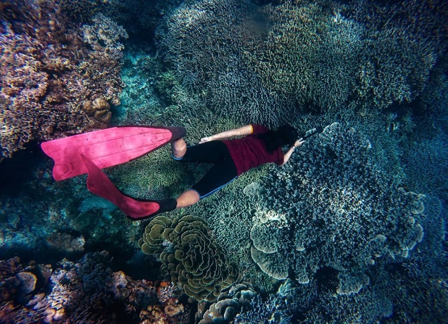 3 Kegiatan Menarik yang Bisa Dilakukan di Pulau Pari Destinasi Wisata Paling Seru