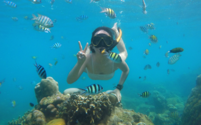 3 Spot Diving dan Snorkeling Tak Terlupakan di Pulau Seribu