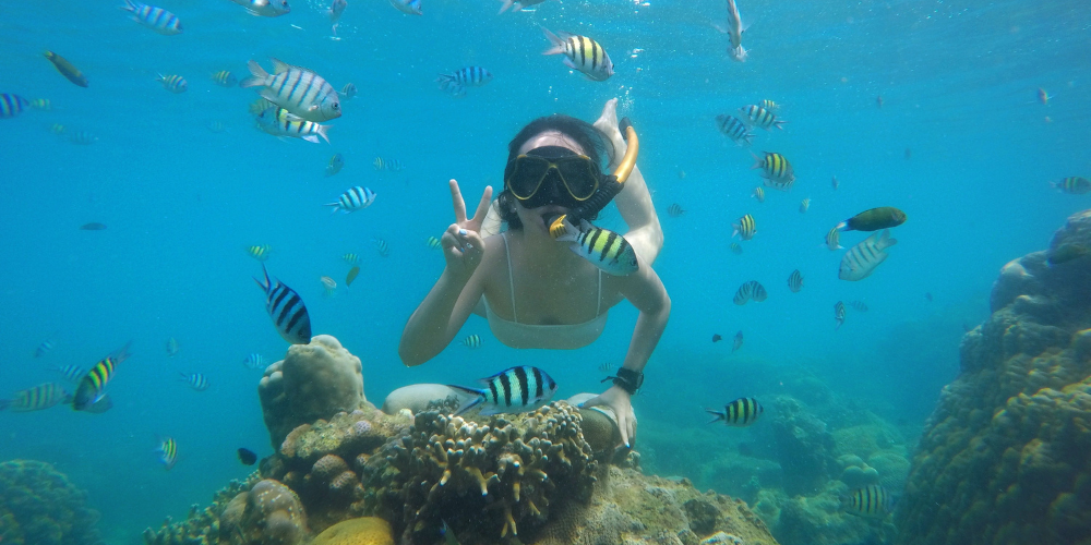 3 Spot Diving dan Snorkeling Tak Terlupakan di Pulau Seribu