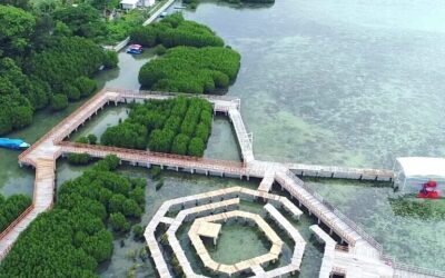 Aktivitas Seru dan Memorable di Pulau Pramuka Kepulauan Seribu