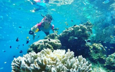 Kumpulkan Semangat Baru dengan Berlibur di Pulau Tidung