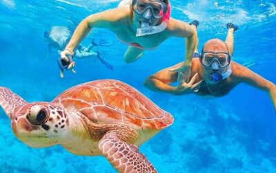 Menikmati Keindahan Bawah Laut dengan Spot Snorkeling Cantik di Kepulauan Seribu