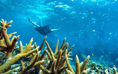 Menikmati Wisata Pantai dan Bawah Laut yang Indah di Pulau Seribu