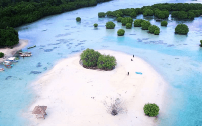 Rencanakan Liburan ke Pulau Pari untuk Dapatkan Liburan Mempesona