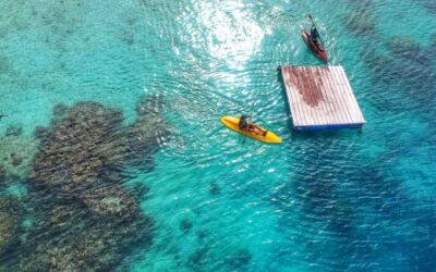 Simak Tips Menikmati Keindahan Bawah Laut Dalam Berwisata Bahari