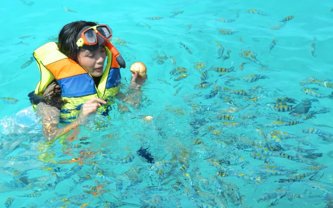 Wisata Resort Pulau Pantara dengan Keindahan yang Mempesona