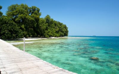 Simak 5 Pulau dengan Pantai Indah di Kepulauan Seribu