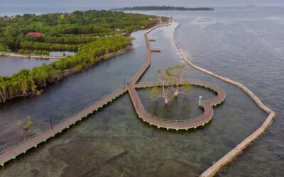 Tenangkan Pikiran dengan Berlibur ke Pulau Seribu yang Indah dan Mempesona