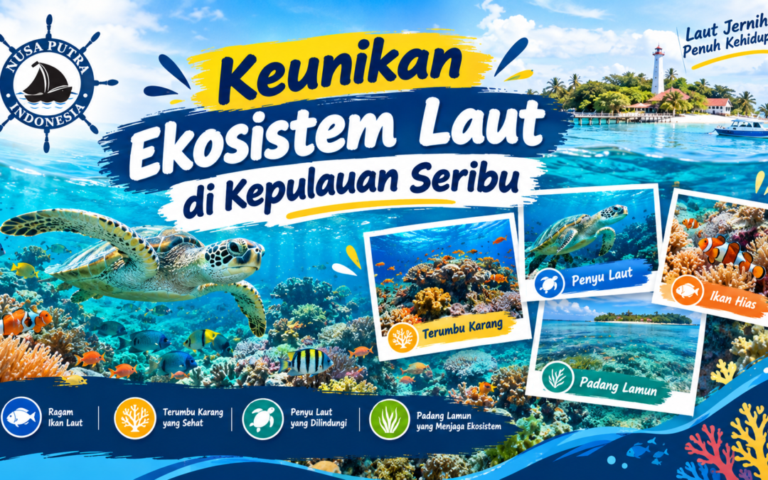 Keunikan Ekosistem Laut di Kepulauan Seribu